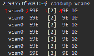 candump